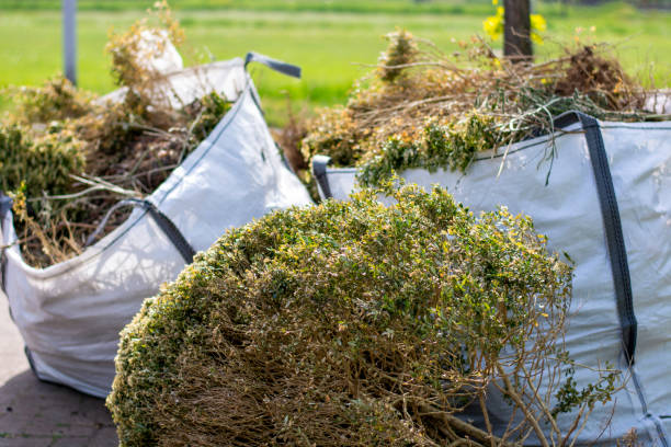 Best Junk Removal Near Me  in Chester, IL